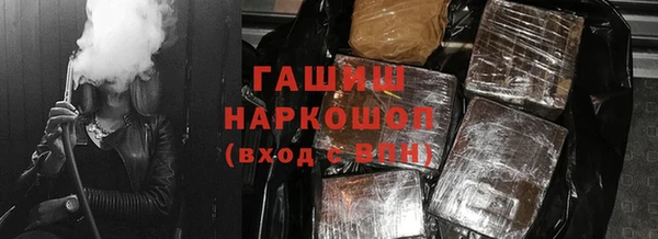 индика Белокуриха
