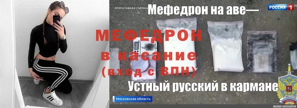 индика Белокуриха