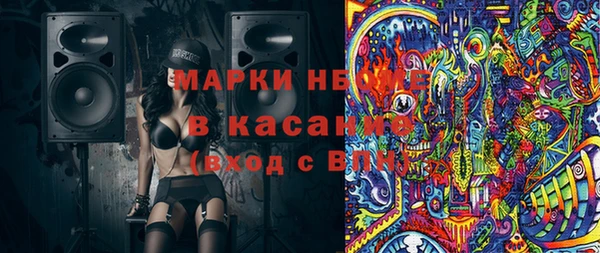 индика Белокуриха