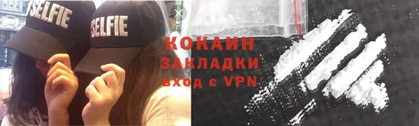 индика Белокуриха