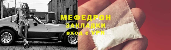 индика Белокуриха