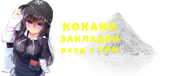 индика Белокуриха