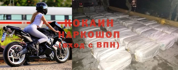 индика Белокуриха