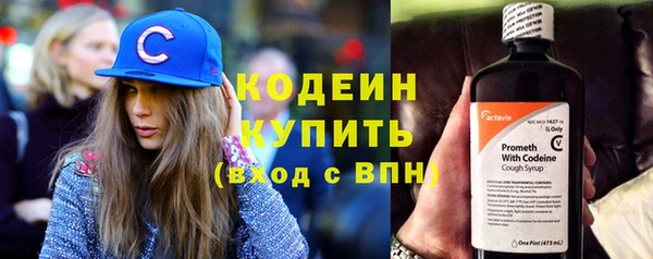 индика Белокуриха
