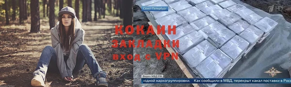 индика Белокуриха